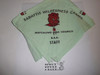 Sabattis Wilderness Camp STAFF Neckerchief, Watchung Area Council, mint green