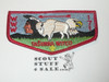 Order of the Arrow Lodge #171 Tasunka Witco s1 First Flap Patch