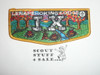 Order of the Arrow Lodge #9 Lenapehoking s9 Flap Patch