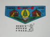 Order of the Arrow Lodge #252 Siwinis s49 2001 Summer Camp Flap Patch