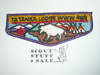 Order of the Arrow Lodge #488 Ta Tanka s13 Flap Patch
