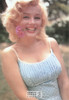 Marilyn Monroe Sam Shaw Photo Postcard by Classico San Francisco #105-222
