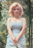 Marilyn Monroe Sam Shaw Photo Postcard by Classico San Francisco #105-228