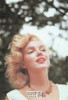 Marilyn Monroe Sam Shaw Photo Postcard by Classico San Francisco #105-232