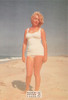 Marilyn Monroe Sam Shaw Photo Postcard by Classico San Francisco #105-239
