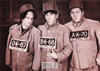 The Three Stooges Sepia Postcard by Classico SF/Ludlow #136-095