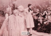 The Wizard of Oz Sepia Postcard by Classico SF/Ludlow #136-333
