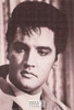 Speedway Elvis Presley Sepia Postcard by Classico SF/Ludlow  #136-390