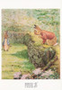 Tale of Mr. Tod Beatrix Potter Postcard by Classico San Francisco #193-017