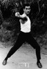 Bruce Lee Postcard by Classico San Francisco #232-294