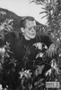 Frankenstein Movie Postcard by Classico San Francisco #233-011