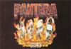 Pantera Postcard by Classico San Francisco #460-097