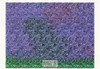 The Chain - Magic Eye 3D Optical Illusion Postcard, Classico SF #512-089