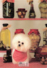 Judy Reinen Dog  Photography Postcard, Classico San Francisco #520-014