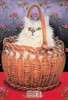 Rose'sCat Bengy in a Basket, Lesley Anne Ivory Painting Postcard, Classico #560-004