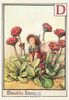 The Double Daisy Fairy Postcard, Cicely Mary Barker Flower Fairies, #584-004