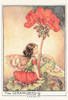 The Geranium Fairy Postcard, Cicely Mary Barker Flower Fairies, Classico #584-029
