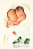 Anne Geddes Photography Postcard by Classico San Francisco #605-043v1