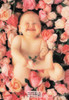 Anne Geddes Photography Postcard by Classico San Francisco #605-048v2