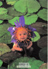 Anne Geddes Photography Postcard by Classico San Francisco #605-115