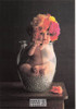 Anne Geddes Photography Postcard by Classico San Francisco #605-150
