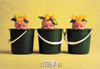 Anne Geddes Photography Postcard by Classico San Francisco #605-166