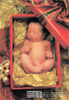 Anne Geddes Photography Christmas Postcard by Classico San Francisco #605-518v2