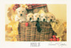 Anne Geddes Photography Christmas Postcard by Classico San Francisco #605-524v1