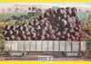 1910 Picture of Large Grapes Postcard, Edward Mitchell, Editions Nugeron #FRUITS4