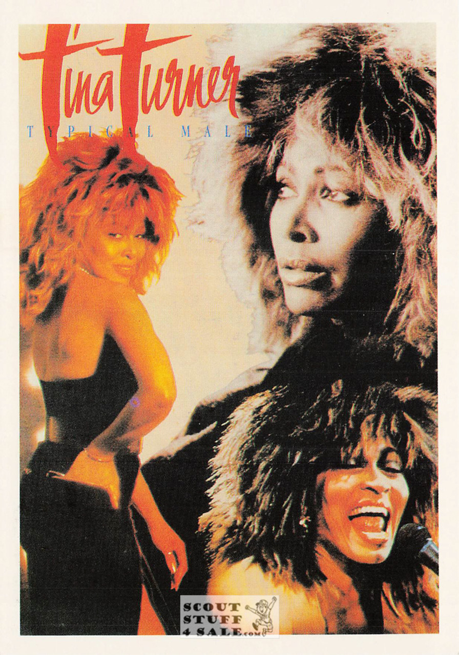 Tina Turner Typical Male Album Album French Postcard, Editions Nugeron #P18