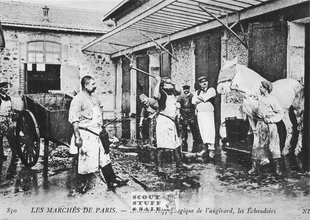 1900's Paris Photography Postcard, Editions Nugeron #PARIS38