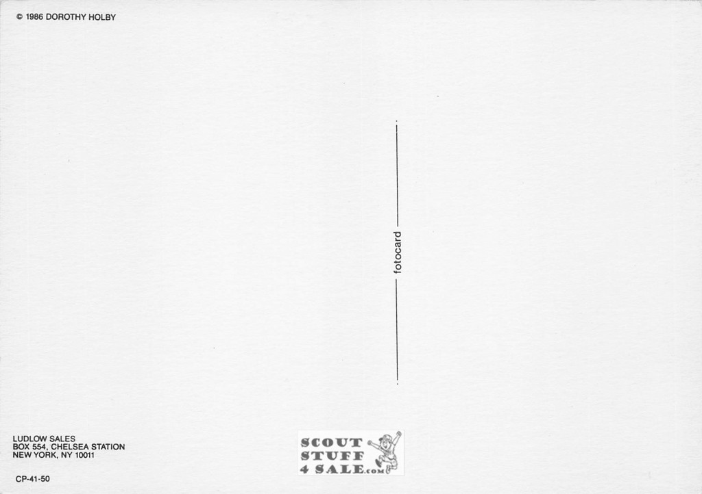 Dorothy Holby Photo Postcard of a Kitten, Ludlow Sales #CP41