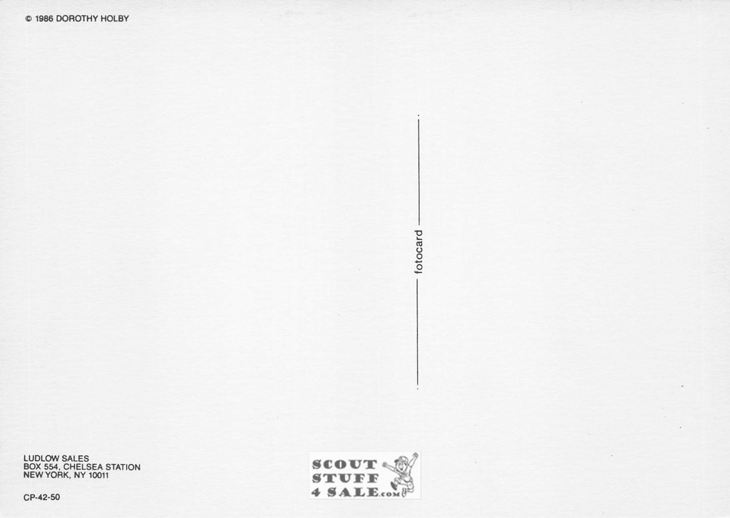 Dorothy Holby Photo Postcard of a Kitten, Ludlow Sales #CP42