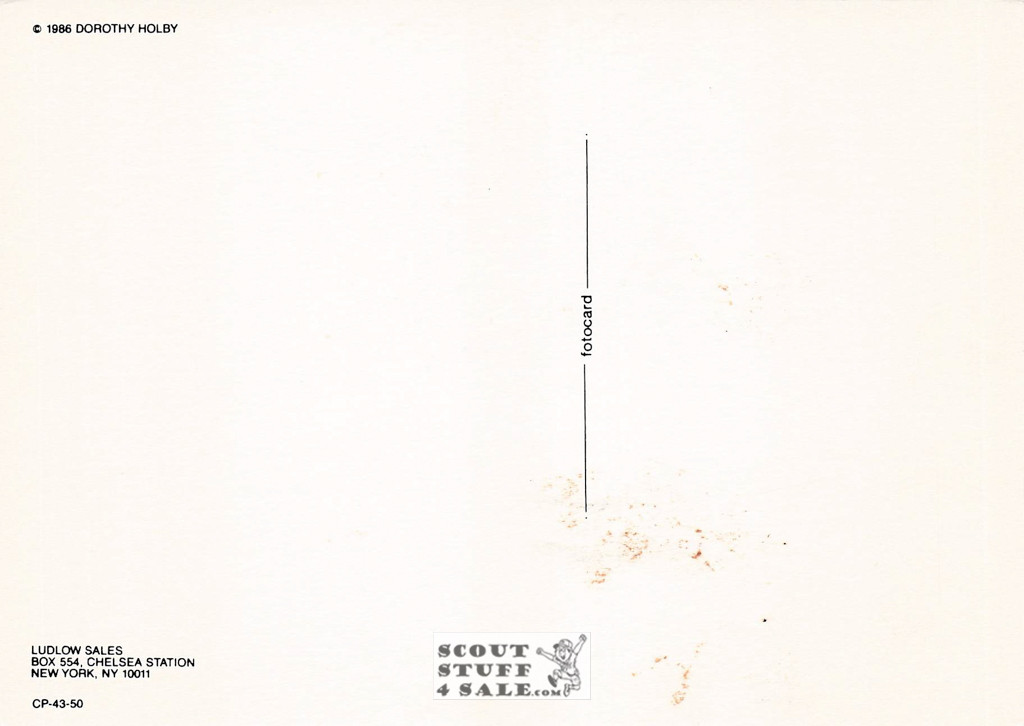 Dorothy Holby Photo Postcard of a Kitten, Ludlow Sales #CP43