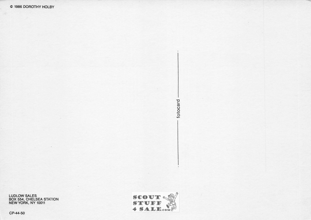 Dorothy Holby Photo Postcard of a Kitten, Ludlow Sales #CP44