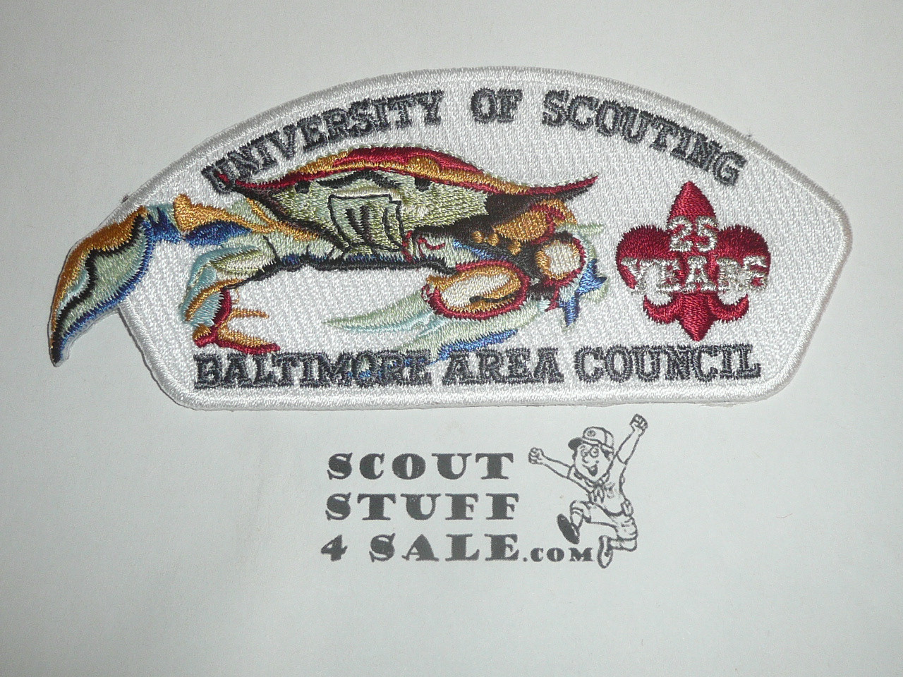 Baltimore Area Council sa60 University of Scouting CSP - Scout