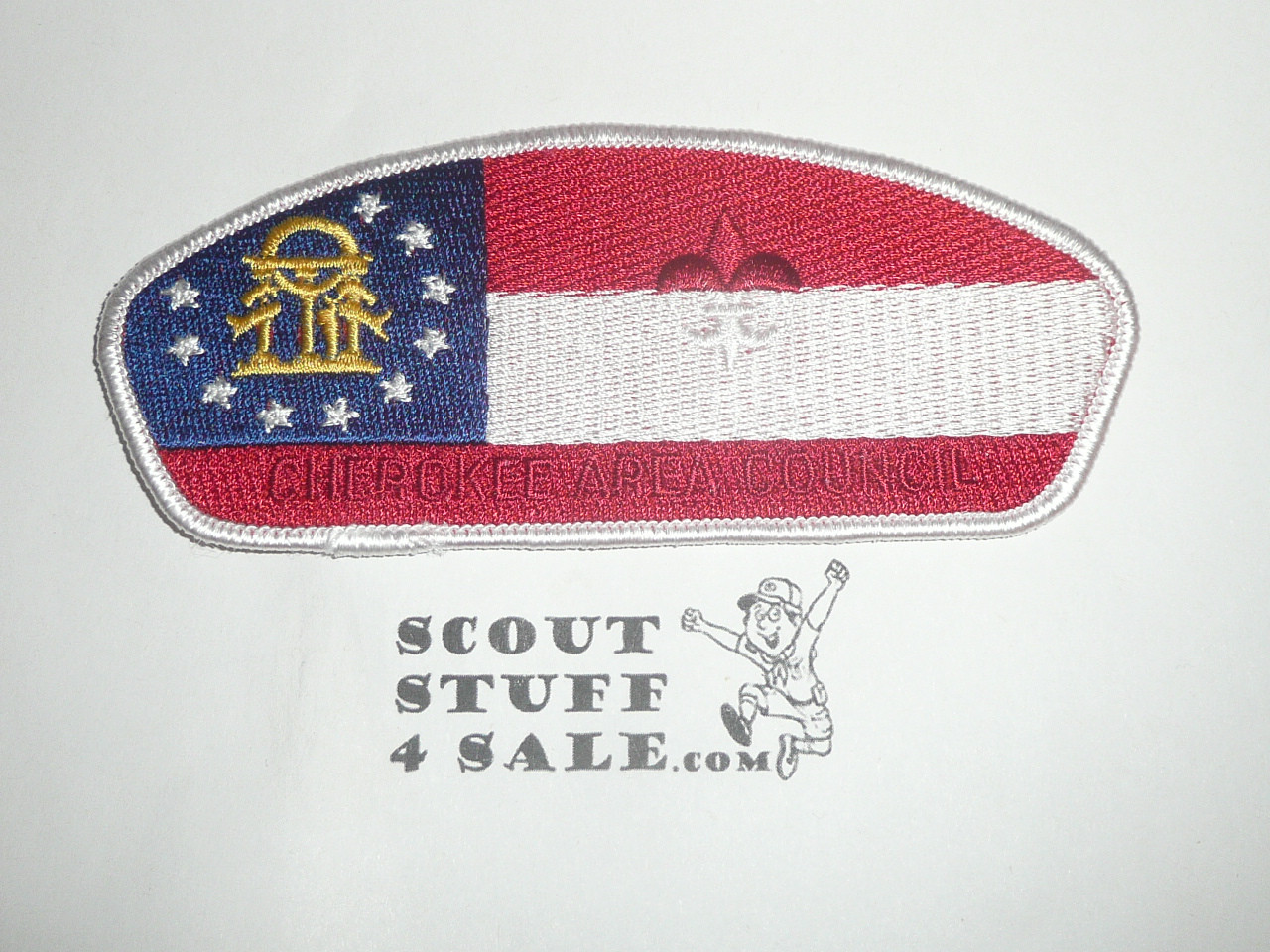 Cherokee Area Council s44 CSP