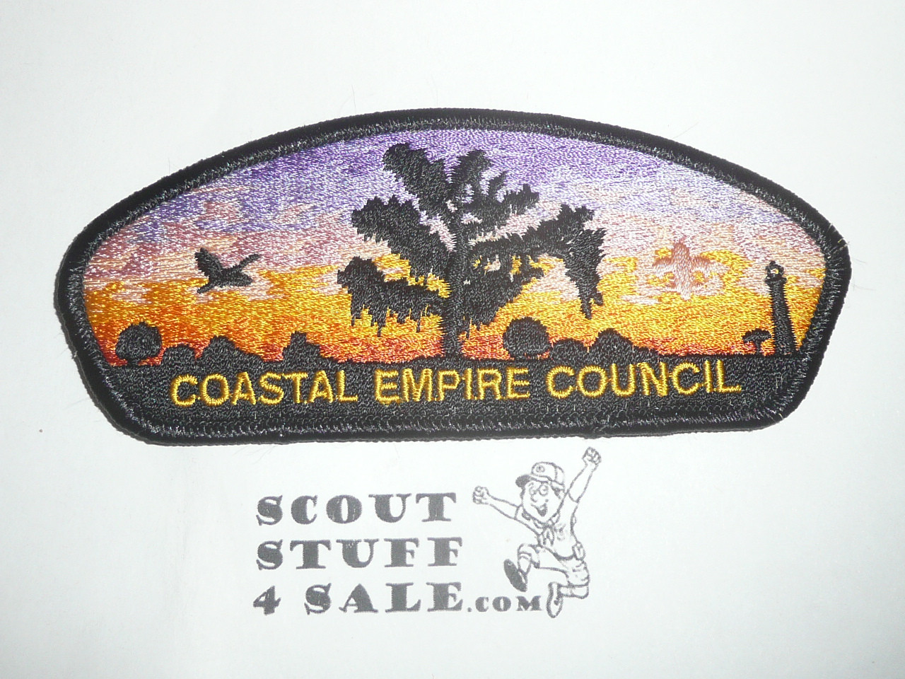 Coastal Empire Council s11 CSP - Scout
