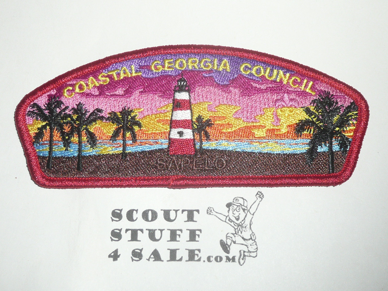 Coastal Georgia Council sa14 Sapelo Lighthouse CSP - Scout