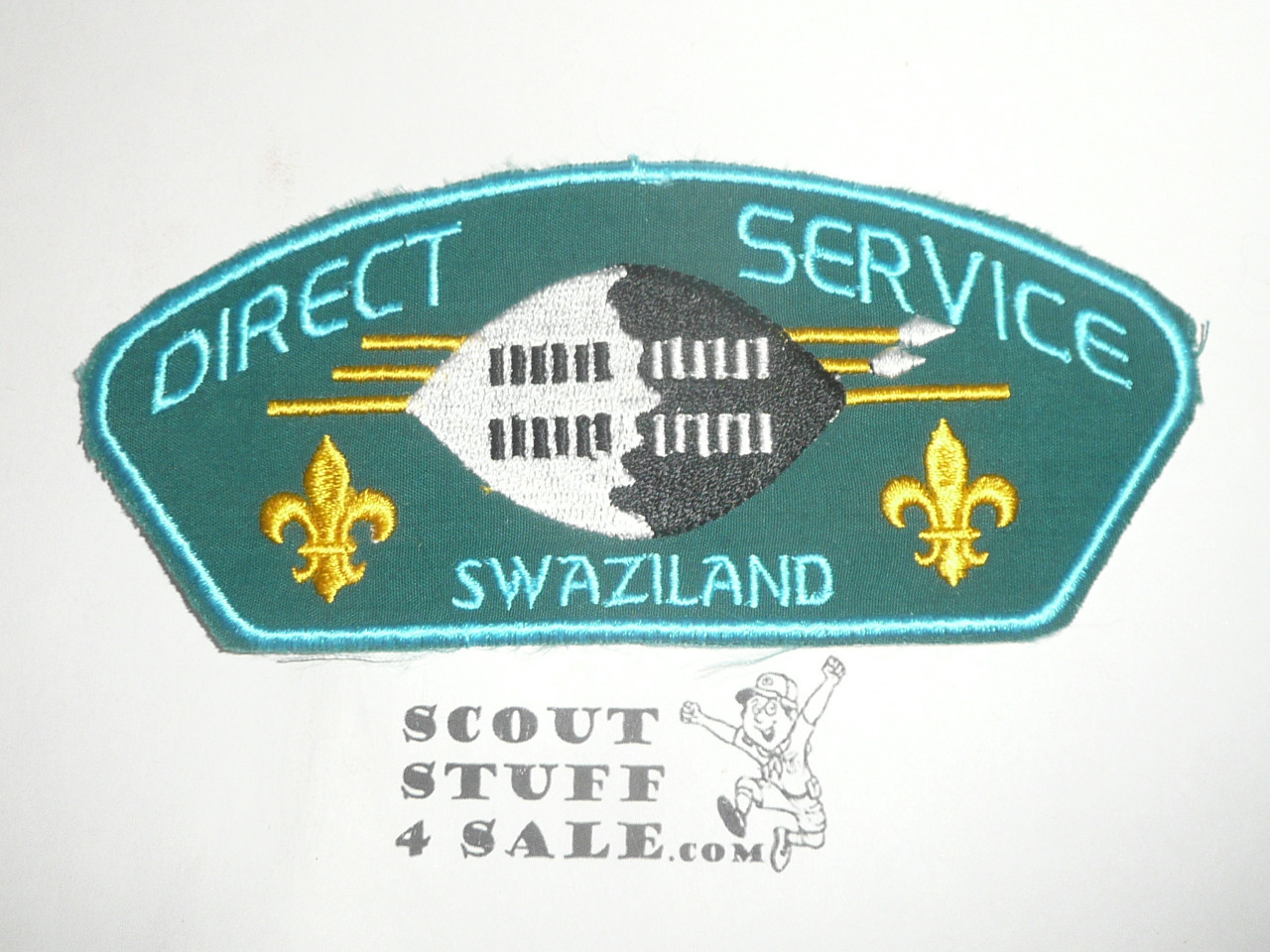 Direct Service Council SWAZILAND t1 CSP - Scout