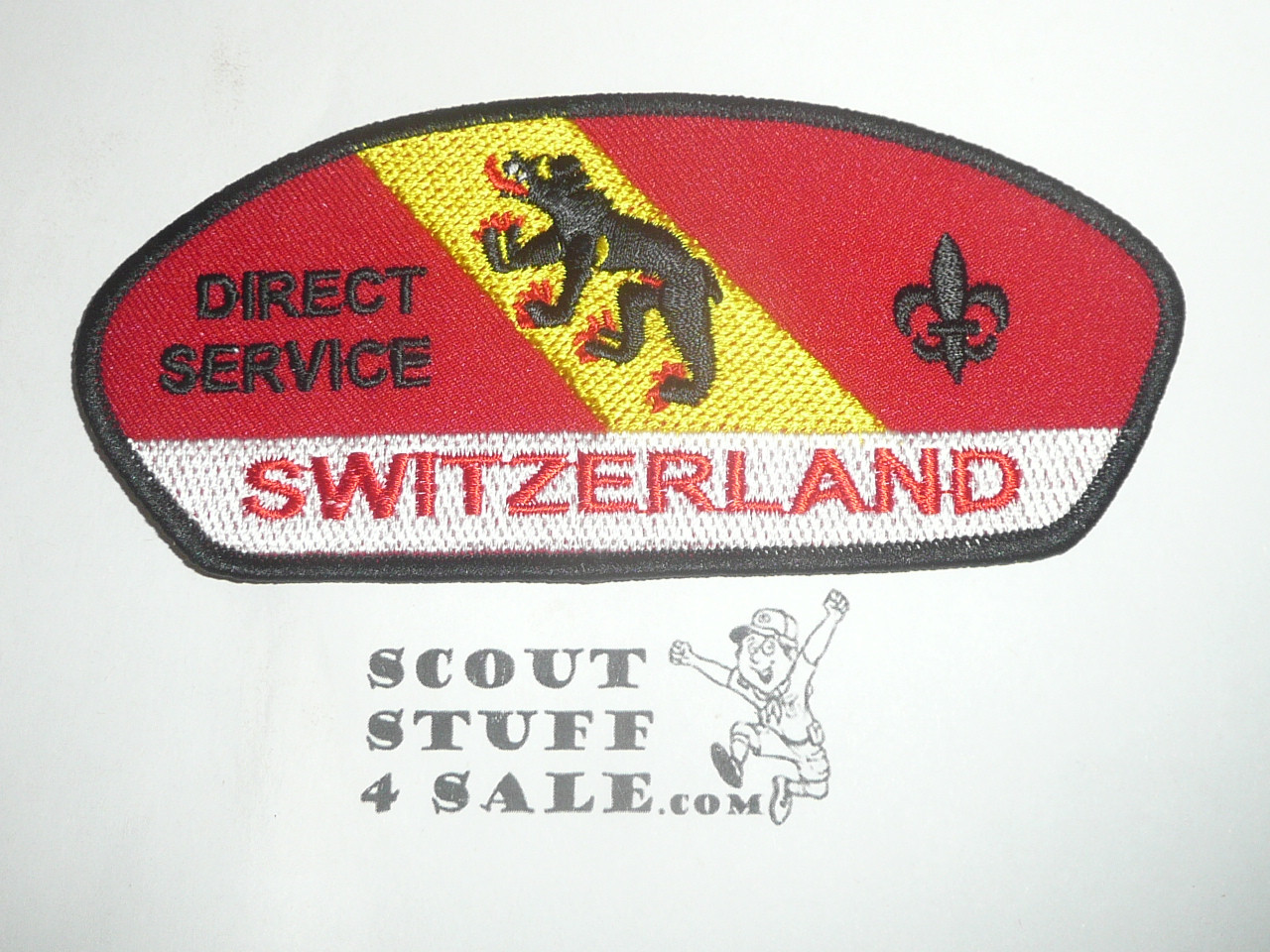 Direct Service Council SWITZERLAND t1 CSP - Scout