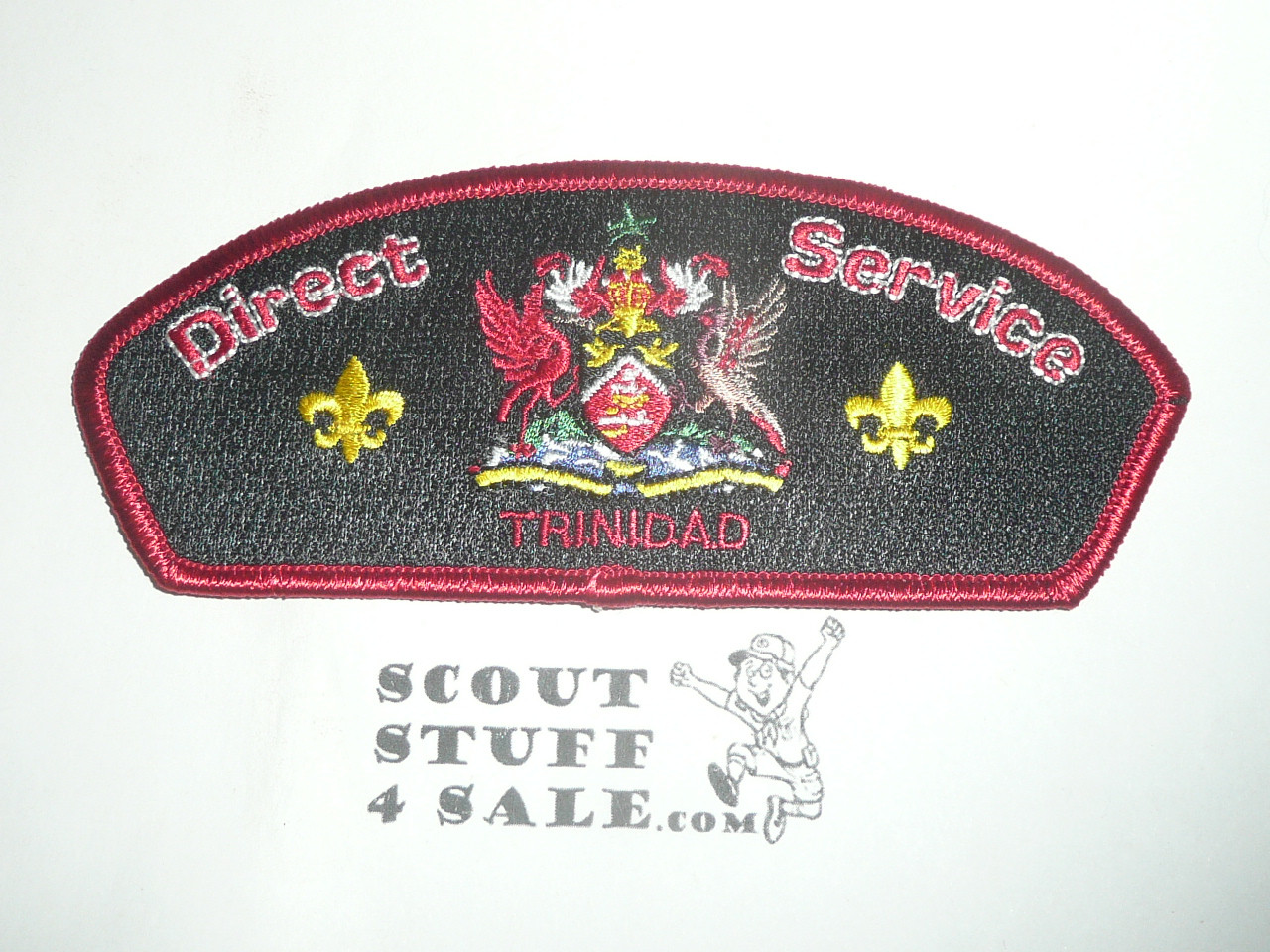 Direct Service Council TRINIDAD s1 CSP - Scout