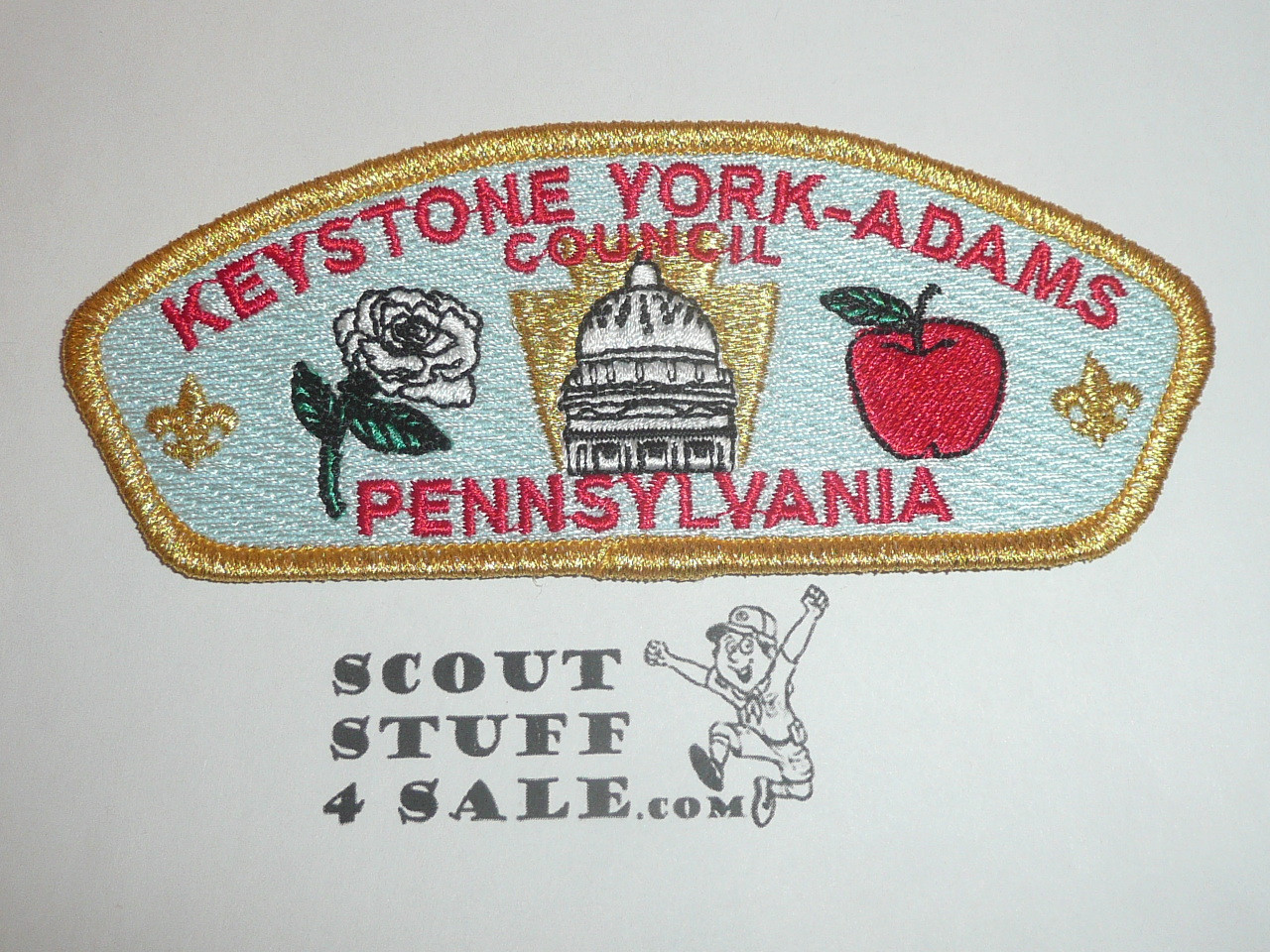 Keystone York-Adams Council s1 CSP - Scout