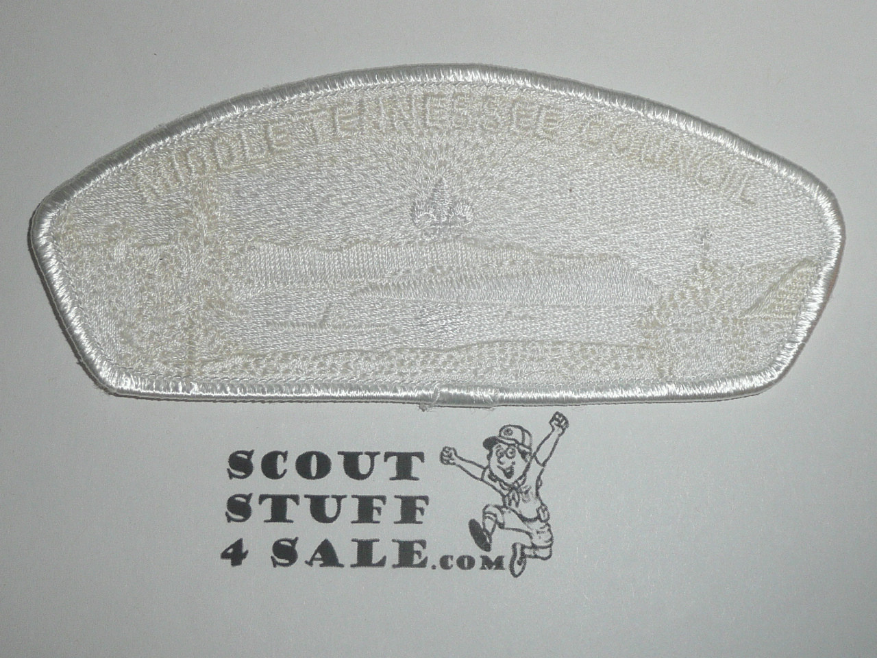 Middle Tennessee Council sa15 CSP - Scout
