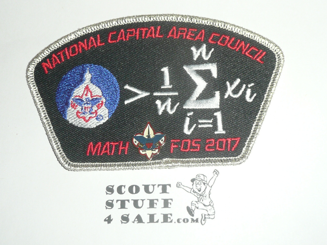 National Capital Area Council ta222 CSP - with integral enameled pin