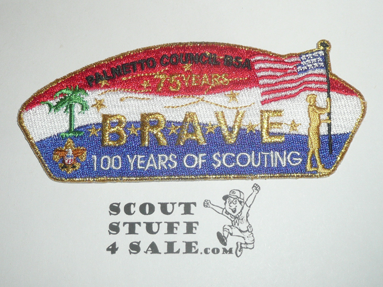 Palmetto Council sa25 CSP - Scout