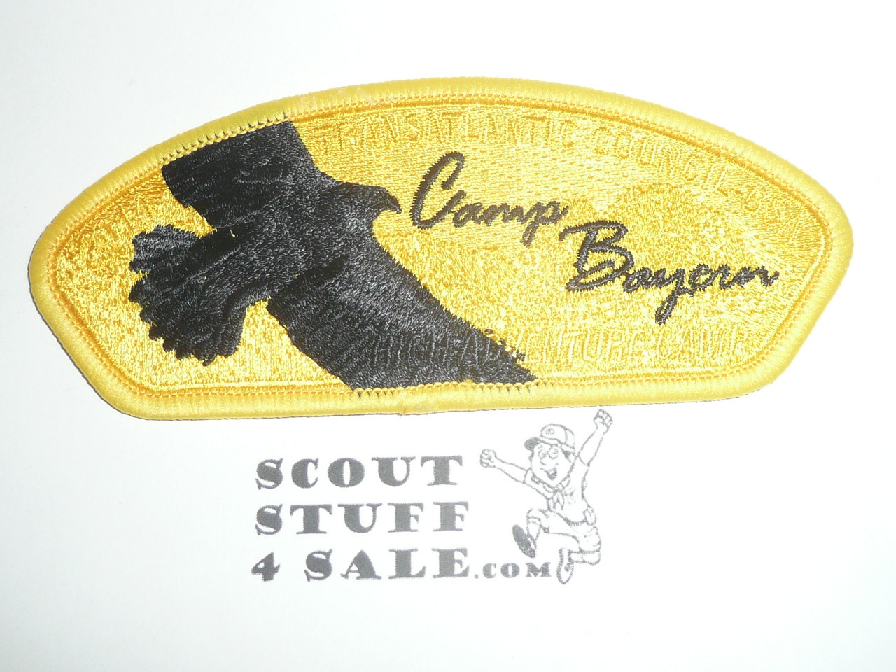 Transatlantic Council sa85 2014 Camp Bayern High Adventure Camp CSP