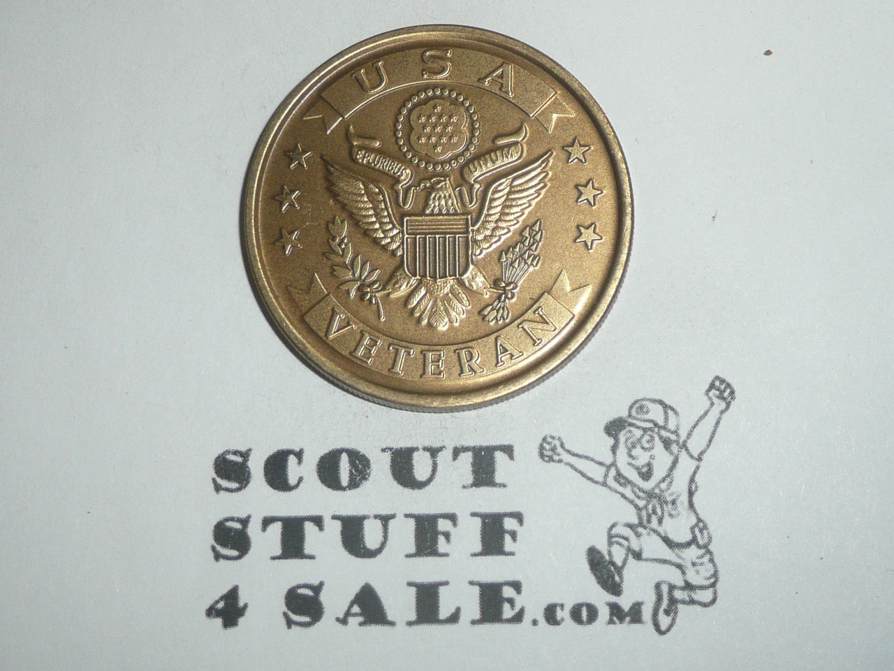 Vietnam Veteran Challenge Coin / Token, Memorial Wall