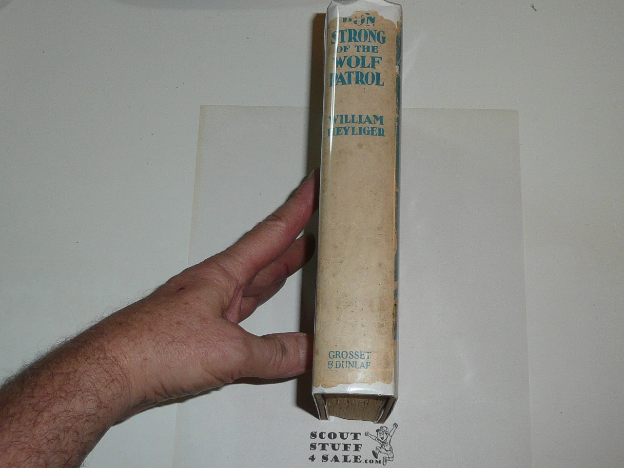 Don Strong of the Wolf Patrol, By William Heyliger, Every Boy's Library Edition, Type Three Binding with dust jacket #2