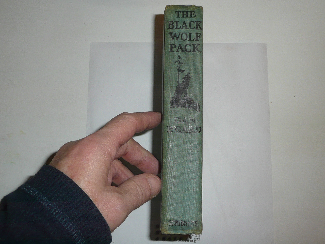 1922 The Black Wolf Pack, By Dan Beard, First Printing